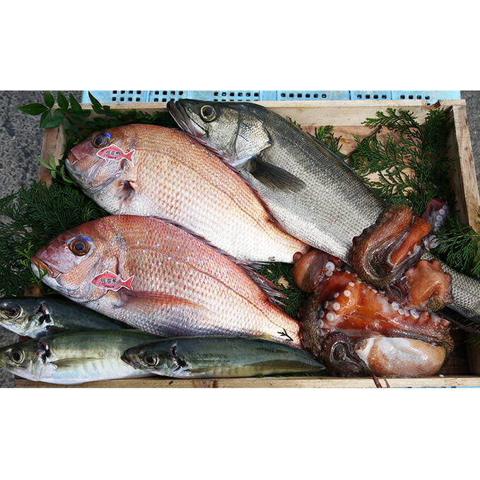 楽天市場】【ふるさと納税】明石産 天然鯛の姿焼(1) 魚貝類 楽天市場】【ふるさと納税】明石産 天然鯛の姿焼(1) 魚貝類