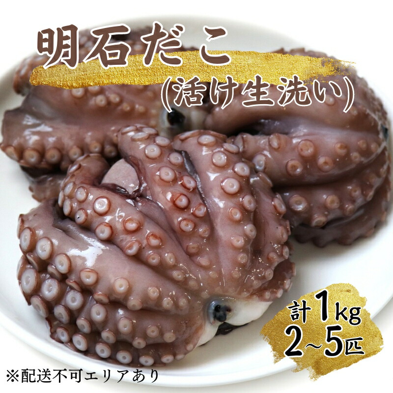 ふるさと納税】明石だこ（活け生洗い）1kg 【魚貝類・タコ・たこ・蛸