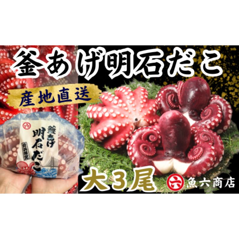【ふるさと納税】ほんまにうまい 釜あげ明石だこ 大 3尾 魚貝類 タコ 加工食品