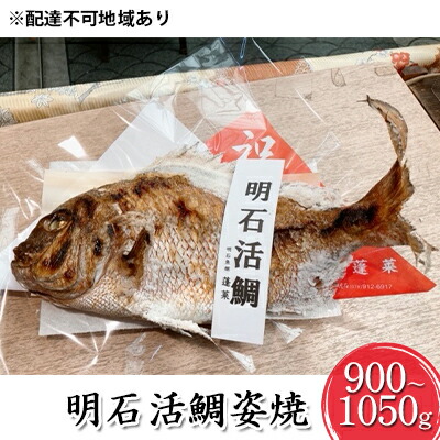 【ふるさと納税】明石活鯛姿焼 900～1050g[ 明石鯛 鯛 焼鯛 祝い鯛 お祝い ] 魚貝類 たい タイ 魚 加工食品 お食い初め 行事