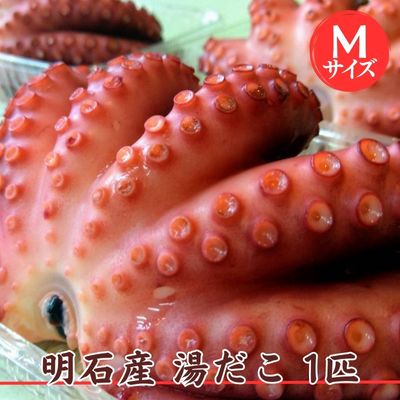 【ふるさと納税】明石産 湯だこ 1匹 Mサイズ[ 明石たこ ボイルたこ 蛸 ] 魚貝類 海の幸 海鮮 身 甘い 弾力 食感 酢の物 天ぷら 明石焼 タコ焼き 食材 タコ飯 つまみ 肴 マリネ アヒージョ 国産 日本産