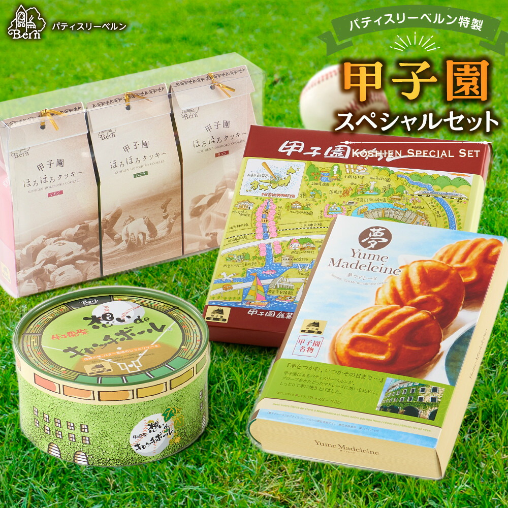 【ふるさと納税】パティスリーベルン特製　甲子園スペシャルセット | 西宮 洋菓子店 スペシャルギフト 焼き菓子 詰め合わせ 人気 おすすめ スイーツ お菓子 プレゼント お取り寄せ 通販 送料無料 ふるさと納税
