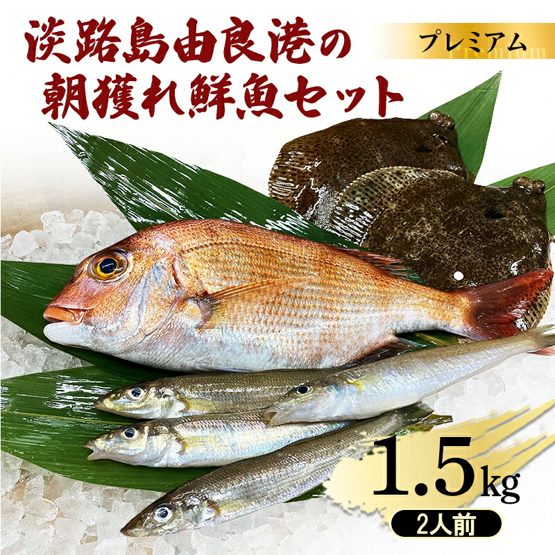 【ふるさと納税】淡路島由良港の朝獲れ 鮮魚セット プレミアム 2人前 魚 鮮魚 魚介 魚介類 海鮮 新鮮 セット 詰め合わせ 淡路島 洲本市｜兵庫県洲本市