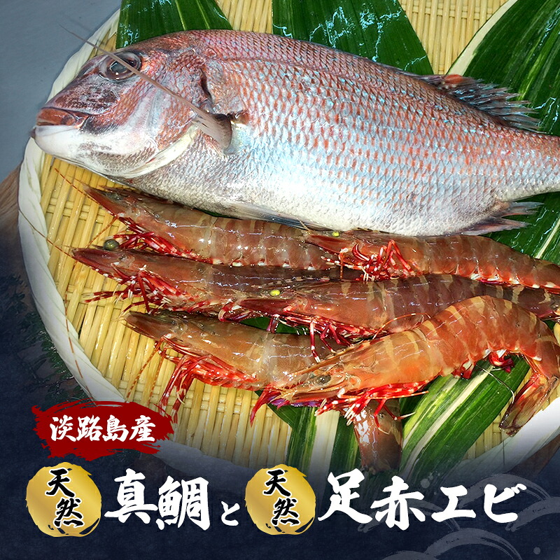 【ふるさと納税】淡路島産 天然 真鯛と足赤エビ セット 鯛 海老 魚介類 兵庫県 洲本市 淡路島 お届け:2026年11月上旬~2026年12月下旬まで
