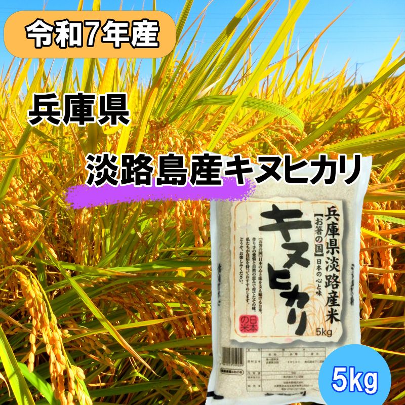 楽天市場】【ふるさと納税】令和7年産 キヌヒカリ 5kg 米 白米 精米