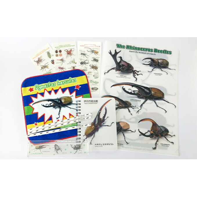 ふるさと納税 伊丹市昆虫館オリジナル昆虫グッズセット ヘラクレスオオカブト 雑貨 日用品 文房具 昆虫グッズセット ノート ミニタオル クリアファイル Jaquemeng Com