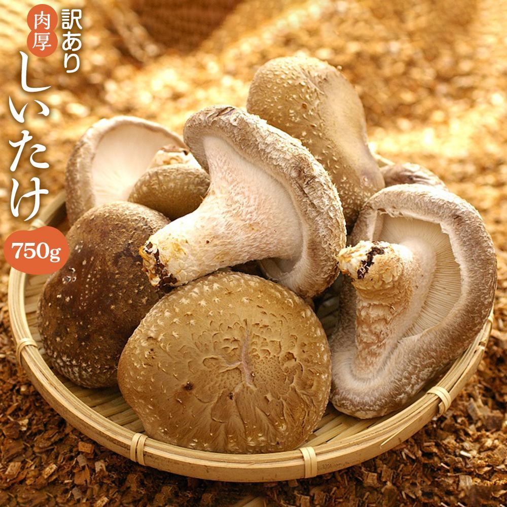 【ふるさと納税】【有機】深山農園の 有機 中身美人の新鮮しいたけ ～アウトレット～750g | わけあり 不揃い 椎茸 野菜 やさい シイタケ きのこ 生椎茸 ご当地 お取り寄せ グルメ 味噌汁 鍋 お鍋 野菜炒め 冷蔵 コロナ 緊急支援 兵庫県 相生市