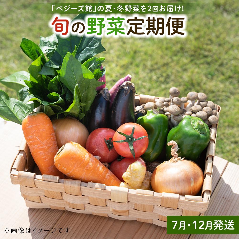 【ふるさと納税】「ベジーズ館」の夏・冬野菜　年２回コース （7月と12月発送） | 相生 有機農園 季節 野菜セット 年2回コース 人気 おすすめ 夏野菜 冬野菜 野菜詰合せ 食材 お取り寄せ 通販 送料無料 ふるさと納税