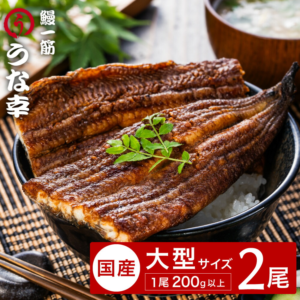 【ふるさと納税】特製タレ 山椒付き 大型2尾 鰻一筋「うな幸」のふわとろ蒲焼き(“国産”大サイズ2本入り) / うなぎ ウナギ 鰻 蒲焼き 2尾 タレ セット 真空パック レンジ