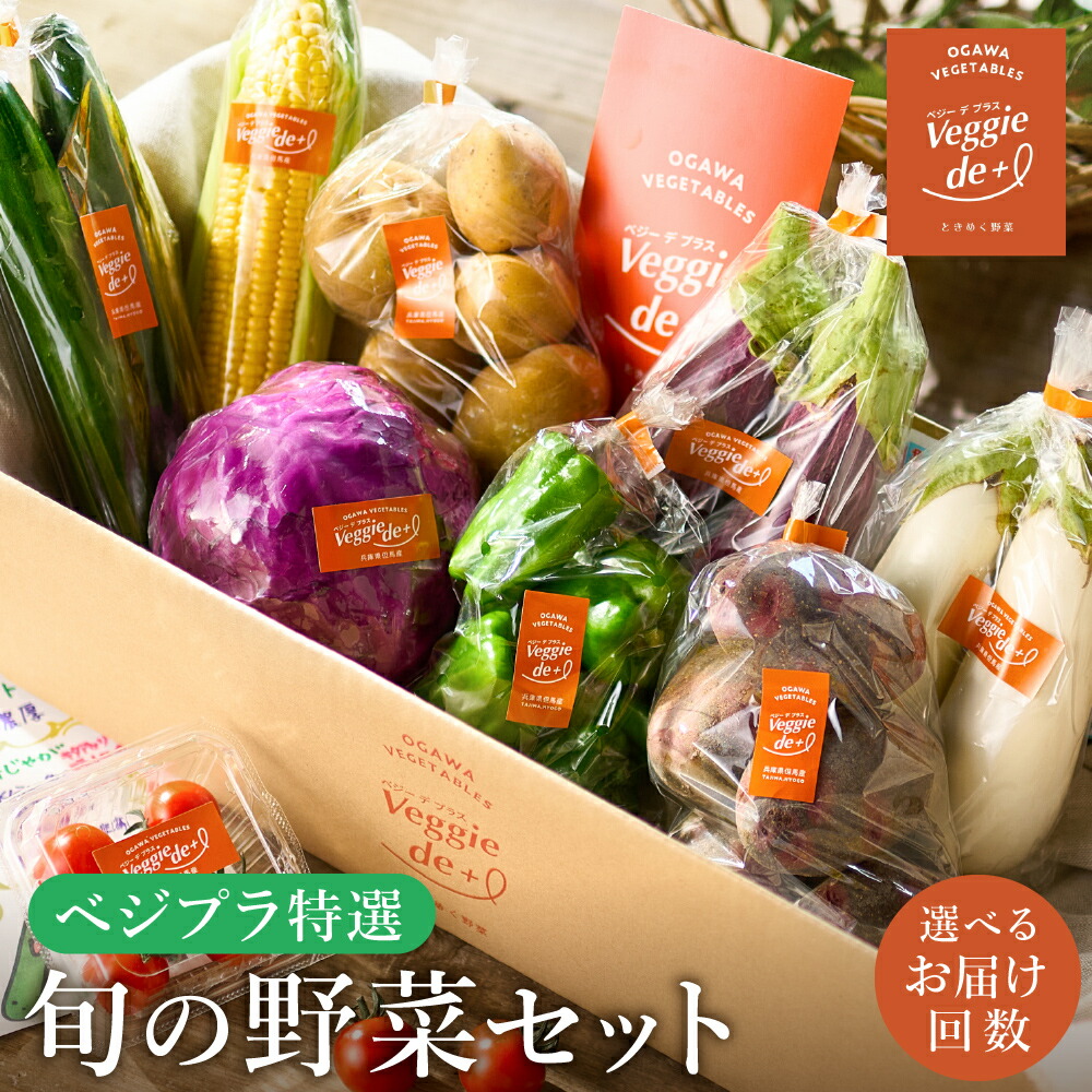 ちさと様の野菜詰め合わせ100サイズ 2セット 楽天市場】野菜セット お試し 国産野菜セット 旬野菜 詰め合わせ