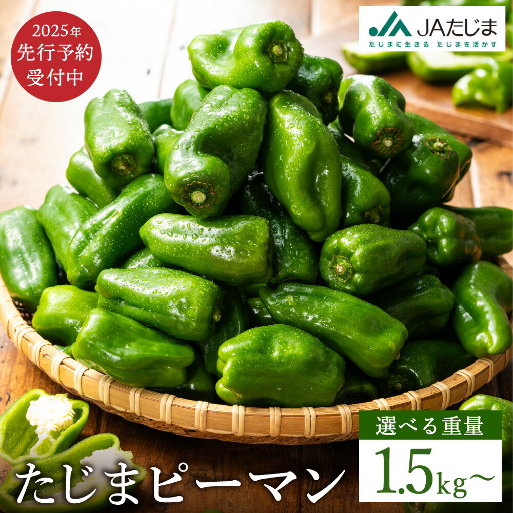 【ふるさと納税】数量限定 たじまピーマン 先行予約 【選べる内容量 約1.5kg・約4.5kg】/ 肉厚 ピーマン 肉詰め 新鮮 野菜 産地直送 やさい 苦みが少ない 甘みが強い 歯ごたえが良い 濃い緑 夏秋ピーマン【2025年7月中旬頃より順次発送】