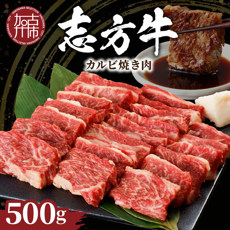 【ふるさと納税】★選べる発送月★志方牛カルビ焼肉(500g)《 牛肉 牛 和牛 国産 焼肉 おすすめ カルビ 赤身 美味しい バーベキュー 志方牛 送料無料 お取り寄せ 選べる 選べる発送月 選べる発送月 贈答用 ギフト 贈り物 》|兵庫県加古川市