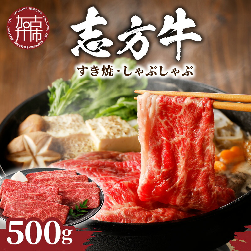 【ふるさと納税】★選べる発送月★志方牛しゃぶしゃぶ・すき焼（500g）《 鍋 お鍋 牛しゃぶ 牛肉 和牛 おすすめ 切り落とし肉 セット すき焼き 冷凍 国産 送料無料 肉 お取り寄せ 選べる 選べる発送月 贈答用 ギフト プレゼント 贈り物 》｜兵庫県加古川市