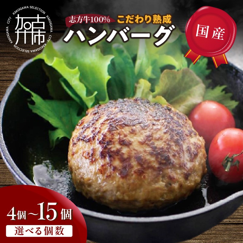 【ふるさと納税】【国産】志方牛100%のこだわり熟成ハンバーグ 150g 4個 6個 7個 10個 12個 15個《 ハンバーグ 国産 牛肉 100% 牛 こだわり セット 冷凍 肉 惣菜 お取り寄せ グルメ おかず ギフト 送料無料 贈答用 ギフト プレゼント 贈り物 》|兵庫県加古川市