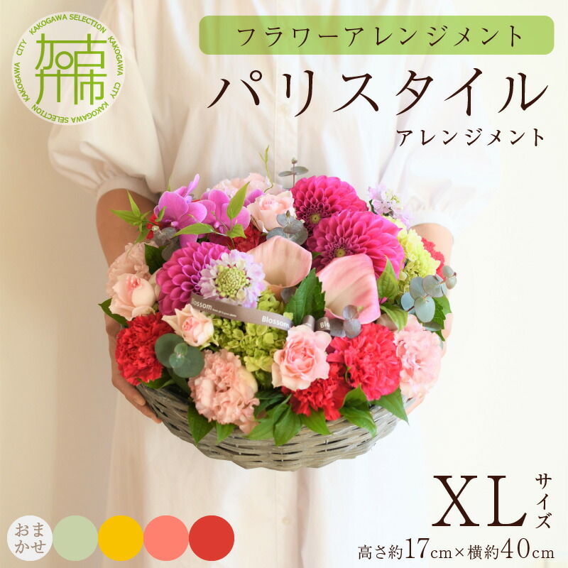 夏の生活様式を好いたらしいに ムサシ特集