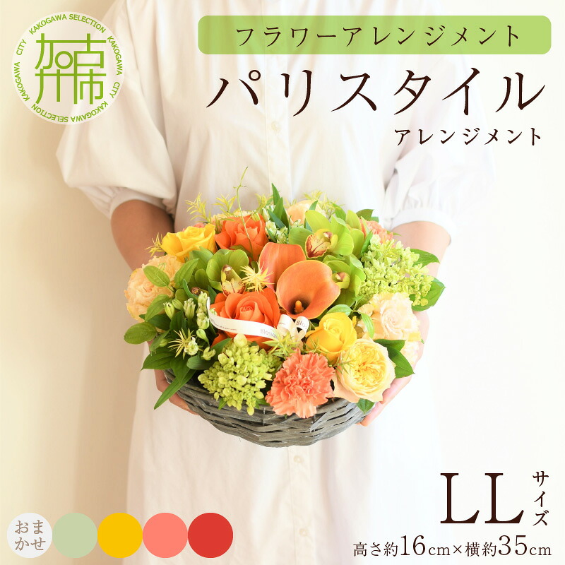 夏の生活様式を好いたらしいに ムサシ特集