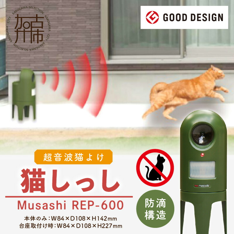夏の生活様式を好いたらしいに ムサシ特集