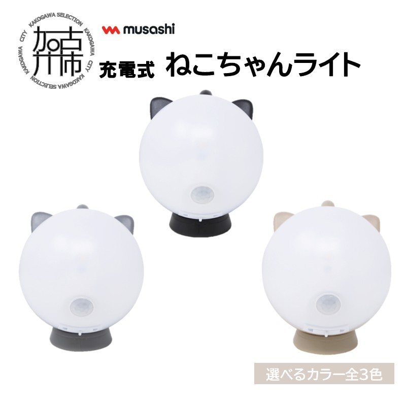 夏の生活様式を好いたらしいに ムサシ特集