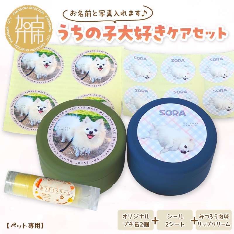 夏の生活様式を好いたらしいに ムサシ特集