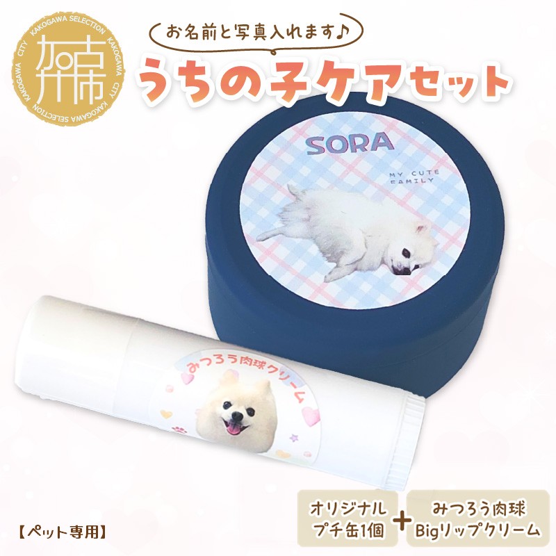 【ふるさと納税】【ペット専用】うちの子ケアセット オリジナルプチ缶1個+うちの子専用肉球Bigリップクリームセット 《 犬 ケア みつろう リップクリーム 缶 セット 詰め合わせ オリジナル ホホバオイル 》