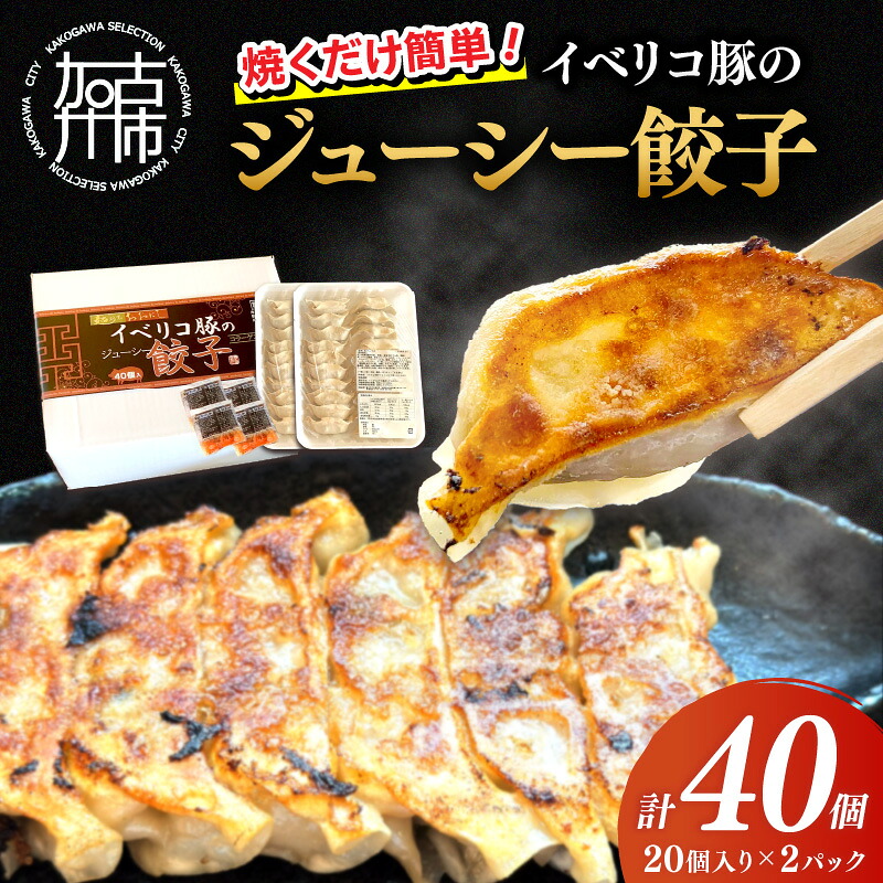 ふるさと納税】【レビューキャンペーン】大西食品「イベリコ豚の ふるさと納税】【レビューキャンペーン】大西食品「イベリコ豚の
