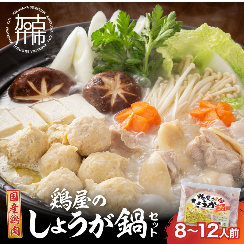 【ふるさと納税】鶏しょうが鍋セット《 鍋 なべ 鍋セット 鶏肉 生姜 ショウガ 》