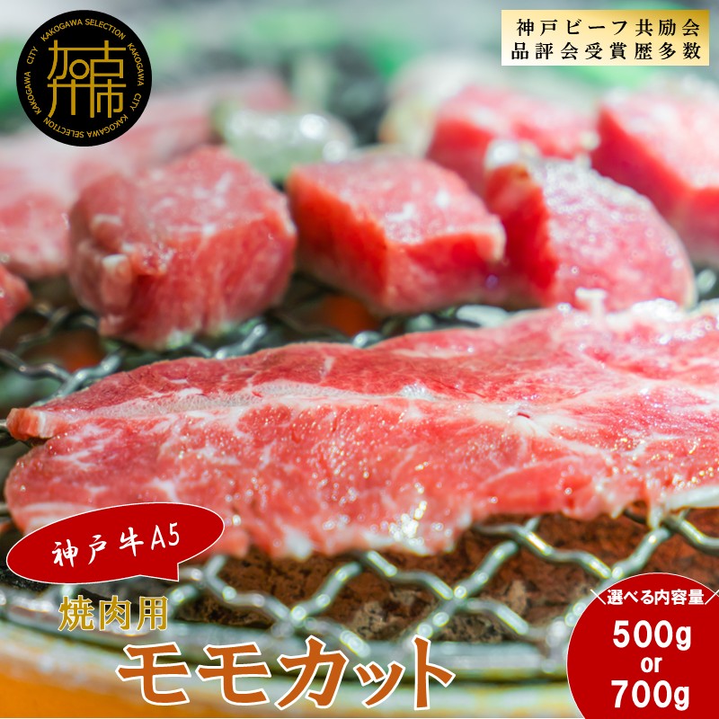 【ふるさと納税】\選べる内容量/【神戸牛A5】焼肉用 モモカット 500g 700g|兵庫県加古川市