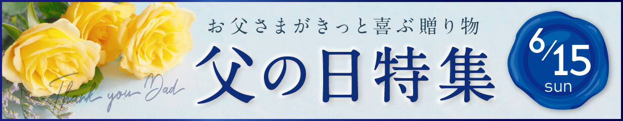 ふるさと納税 服 男 兵庫県 加古川市  ホワイト ブリヂストン 3足セットアンクルソックスゴルフSOG318 2402T14002_04 ホワイト ホワイト】ブリヂストン 3足セットアンクルソックスゴルフSOG318