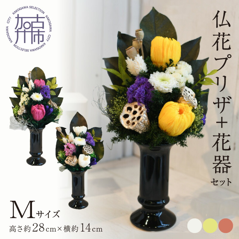 夏の生活様式を好いたらしいに ムサシ特集