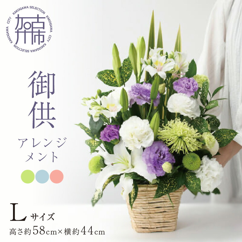 夏の生活様式を好いたらしいに ムサシ特集