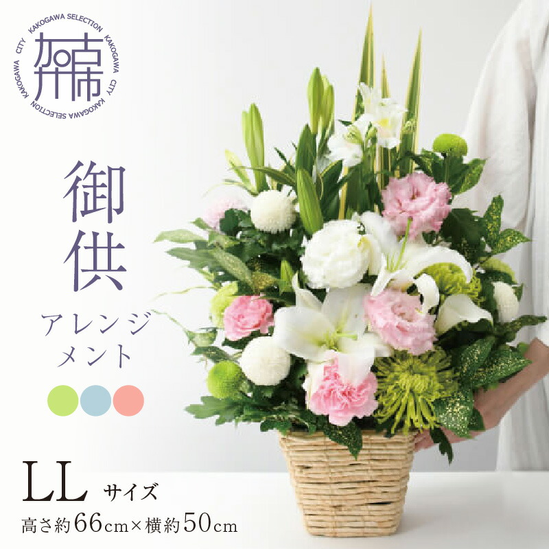夏の生活様式を好いたらしいに ムサシ特集