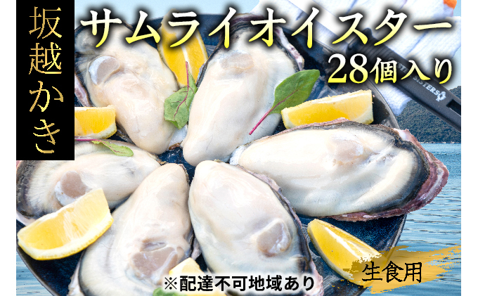 楽天市場 ふるさと納税 坂越かき 殻付き28個 牡蠣ナイフ 軍手付き サムライオイスター 魚貝類 生牡蠣 かき カキ シーフード お届け 年12月上旬 21年5月上旬 兵庫県赤穂市