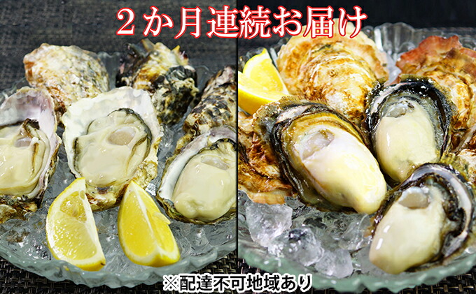 楽天市場 ふるさと納税 4月 5月お届け レア牡蠣2種食べ比べ 播州赤穂坂越産 定期便 魚貝類 生牡蠣 かき カキ シーフード お届け 21年4月1日 21年5月31日 兵庫県赤穂市