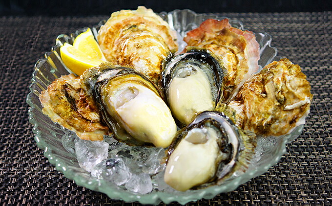 楽天市場 ふるさと納税 4月 5月お届け レア牡蠣2種食べ比べ 播州赤穂坂越産 定期便 魚貝類 生牡蠣 かき カキ シーフード お届け 21年4月1日 21年5月31日 兵庫県赤穂市