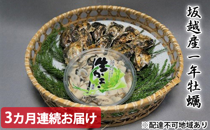 定期便 牡蠣 お届け むき身 むき身250g セット 坂越かき 殻付き 殻付き15個〜20個 生食用 売れ筋ランキングも 坂越かき