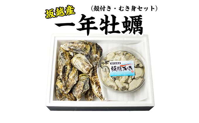 定期便 牡蠣 お届け むき身 むき身250g セット 坂越かき 殻付き 殻付き15個〜20個 生食用 売れ筋ランキングも 坂越かき