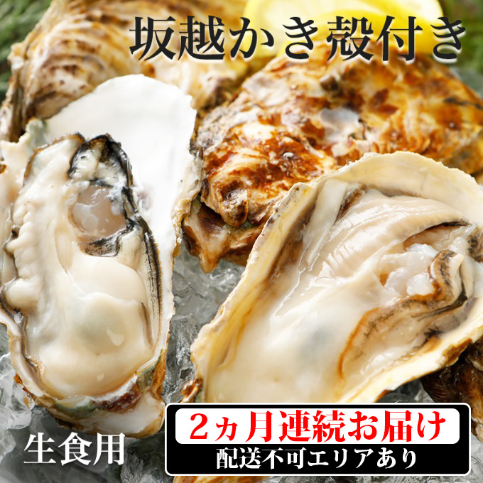 激安セール 定期便 牡蠣 坂越かき 殻付き牡蠣 28個 オイスターナイフ付き 生牡蠣 かき カキ 殻付 生食 お届け Fucoa Cl