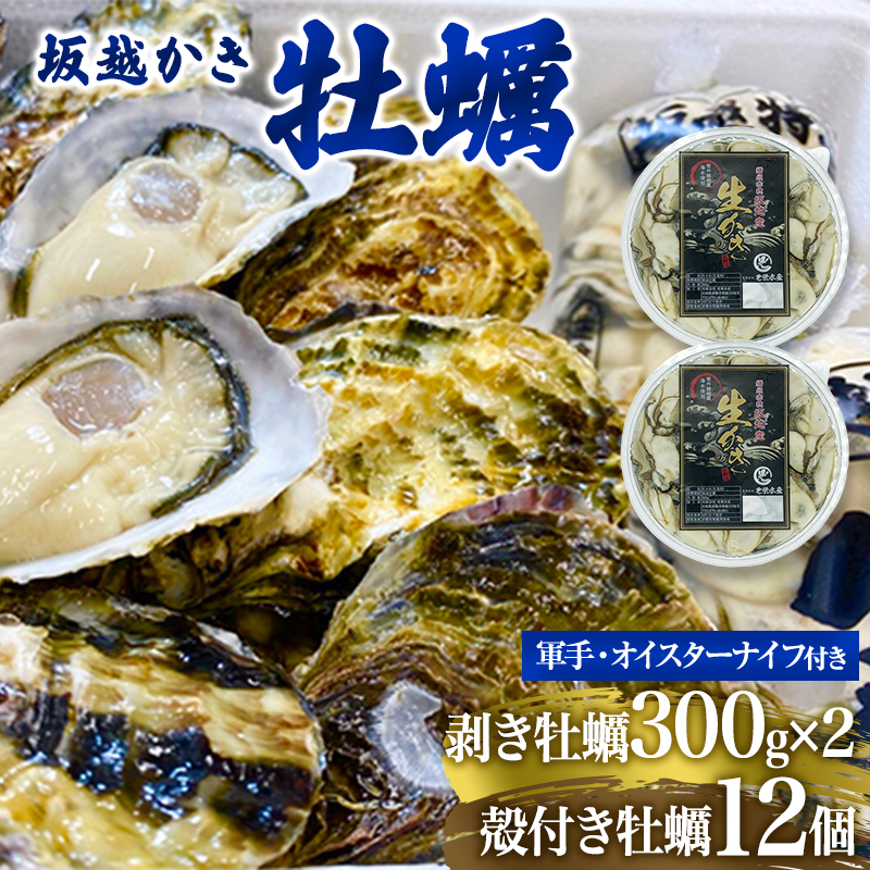 楽天市場】【ふるさと納税】 牡蠣 坂越かき 剥き牡蠣 500g×3[ 生牡蠣