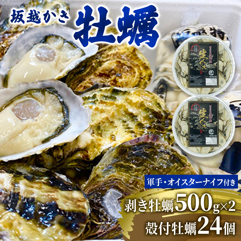 楽天市場】【ふるさと納税】 牡蠣 坂越かき 剥き牡蠣 500g×3[ 生牡蠣