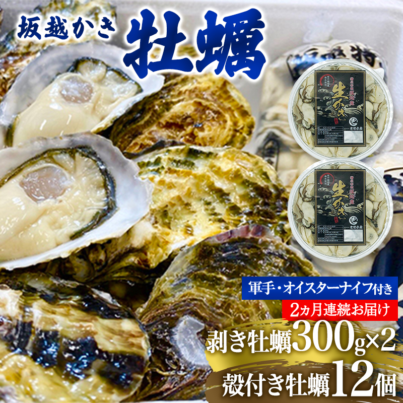 楽天市場】【ふるさと納税】 牡蠣 坂越かき 剥き牡蠣 500g×3[ 生牡蠣