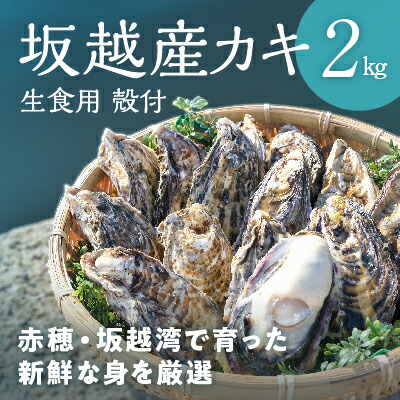 【ふるさと納税】【2025年1月上旬より出荷開始】メディアでも話題の生食用カキ！赤穂・坂越湾で育った新鮮な身を厳選(坂越産カキ 生食用 殻付2kg)[ 牡蠣 冬牡蠣 ] 魚介類 　お届け：2025年1月上旬以降順次発送予定