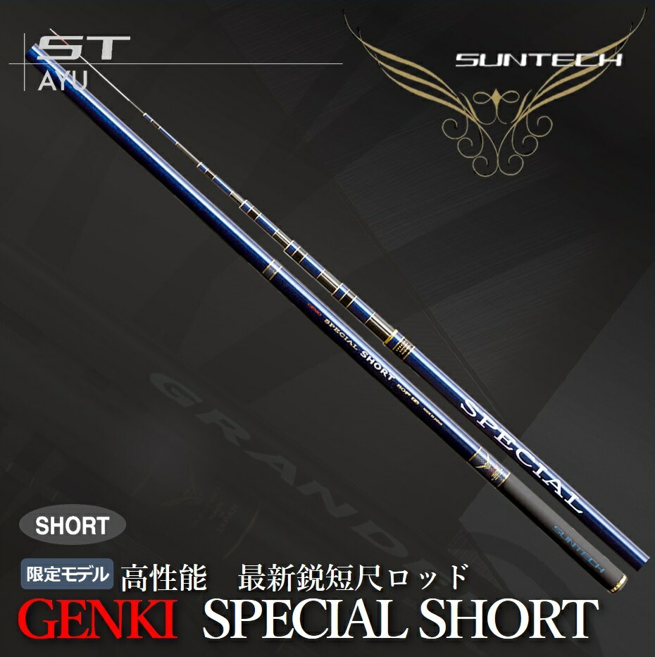 Amazon | SUNTECH サンテック KANAME SPECIAL 本流 90F