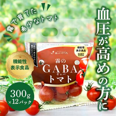 【ふるさと納税】おいしいだけじゃない！機能性表示食品 霧のGABAトマト 300ｇ×12パック 兵庫県 西脇市 霧のいけうち トマト 野菜 青果 希少 GABA 甘い 甘味 酸味