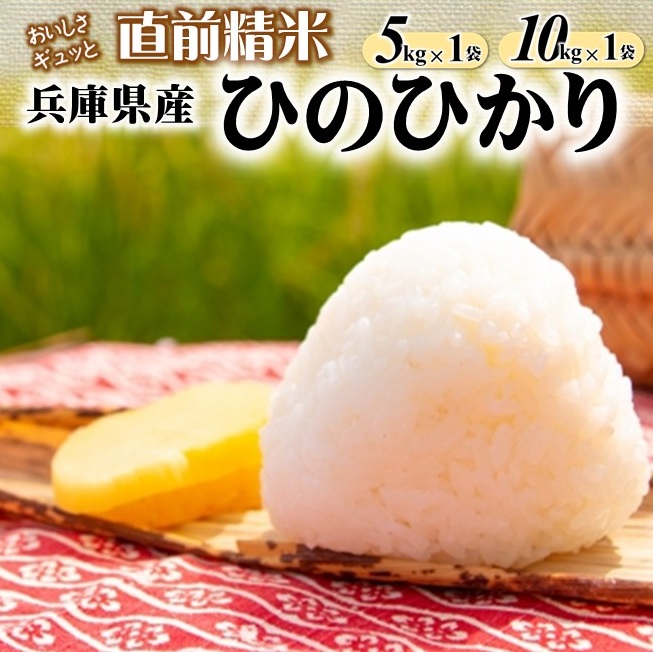 【ふるさと納税】【ヒノヒカリ】白米 選べる 5kg 10kg 令和7年産 R7年産 2025年産 【城口商店】むすび亭 米問屋 精米 お米 こめ コメ ヒノヒカリ ひのひかり 人気 兵庫県産 直前精米｜兵庫県西脇市