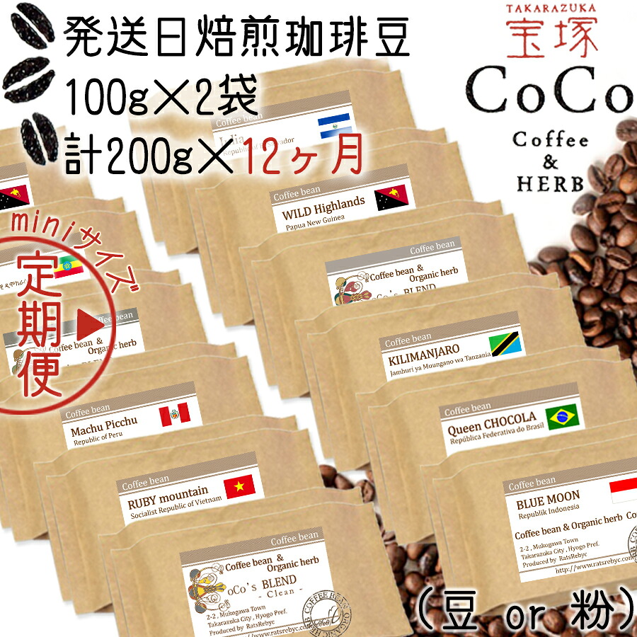 【ふるさと納税】【宝塚】12ヶ月の定期便（当日自家焙煎珈琲豆・全12種）mini｜兵庫県宝塚市