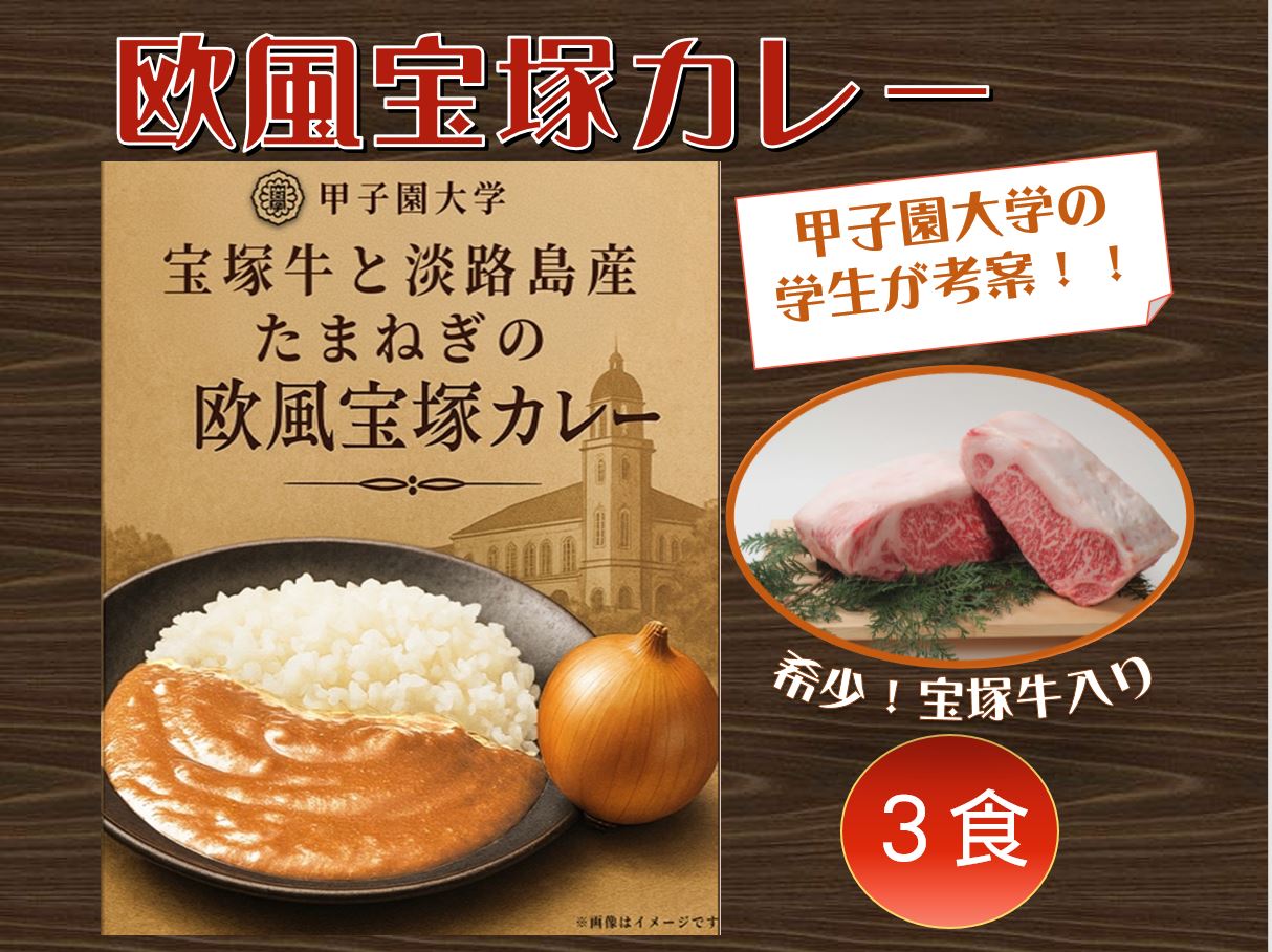 【ふるさと納税】【甲子園大学・学生考案】宝塚牛と淡路島産玉ねぎの欧風宝塚カレー（3食セット）