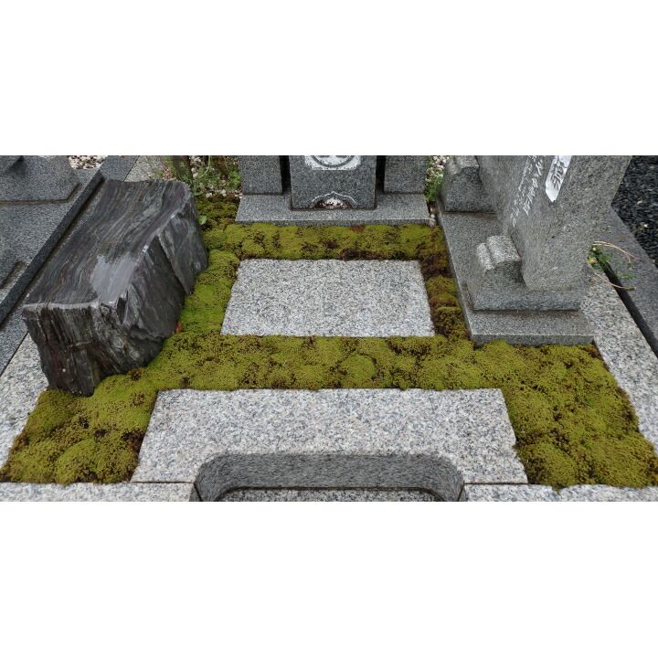 【ふるさと納税】スナゴケで奥津城所緑化１平方メートル