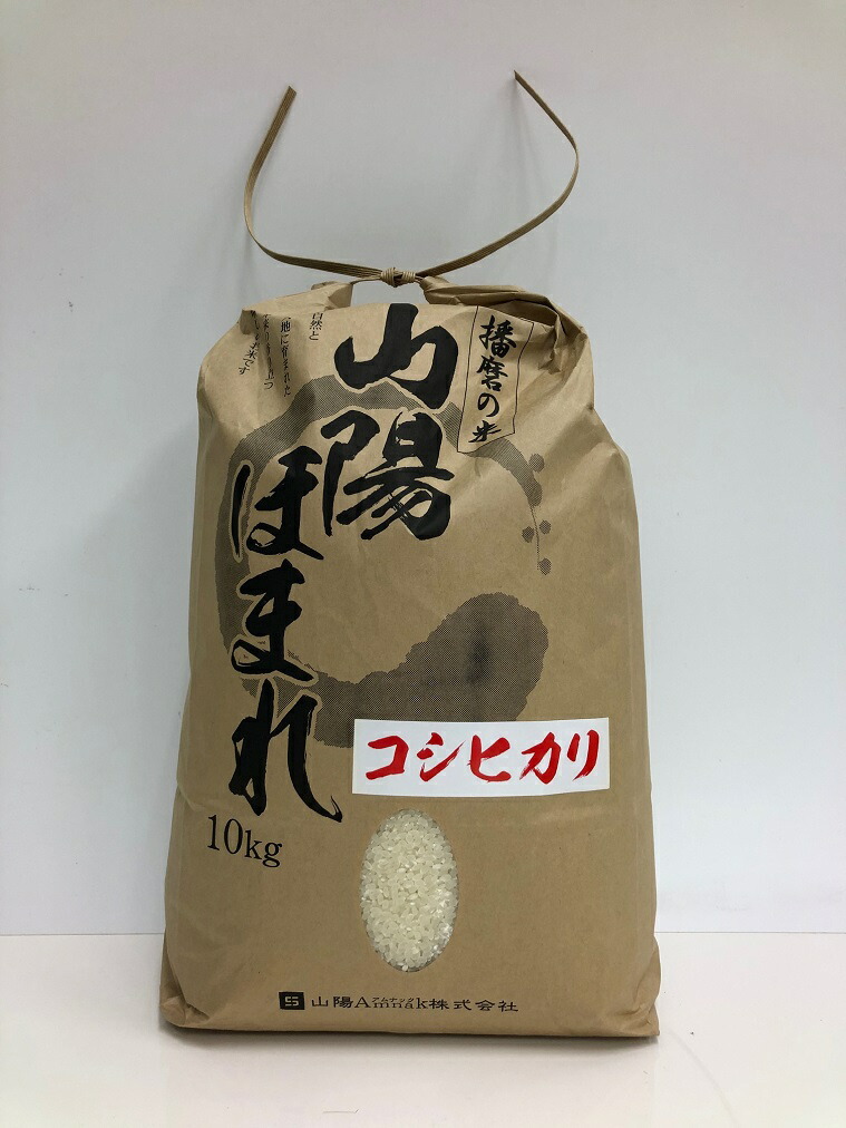 【ふるさと納税】【米】【定期便】兵庫県播磨産「山陽ほまれ　コシヒカリ」または「山陽ほまれ　ヒノヒカリ」10kg 「6回お届け（偶数月発送）」