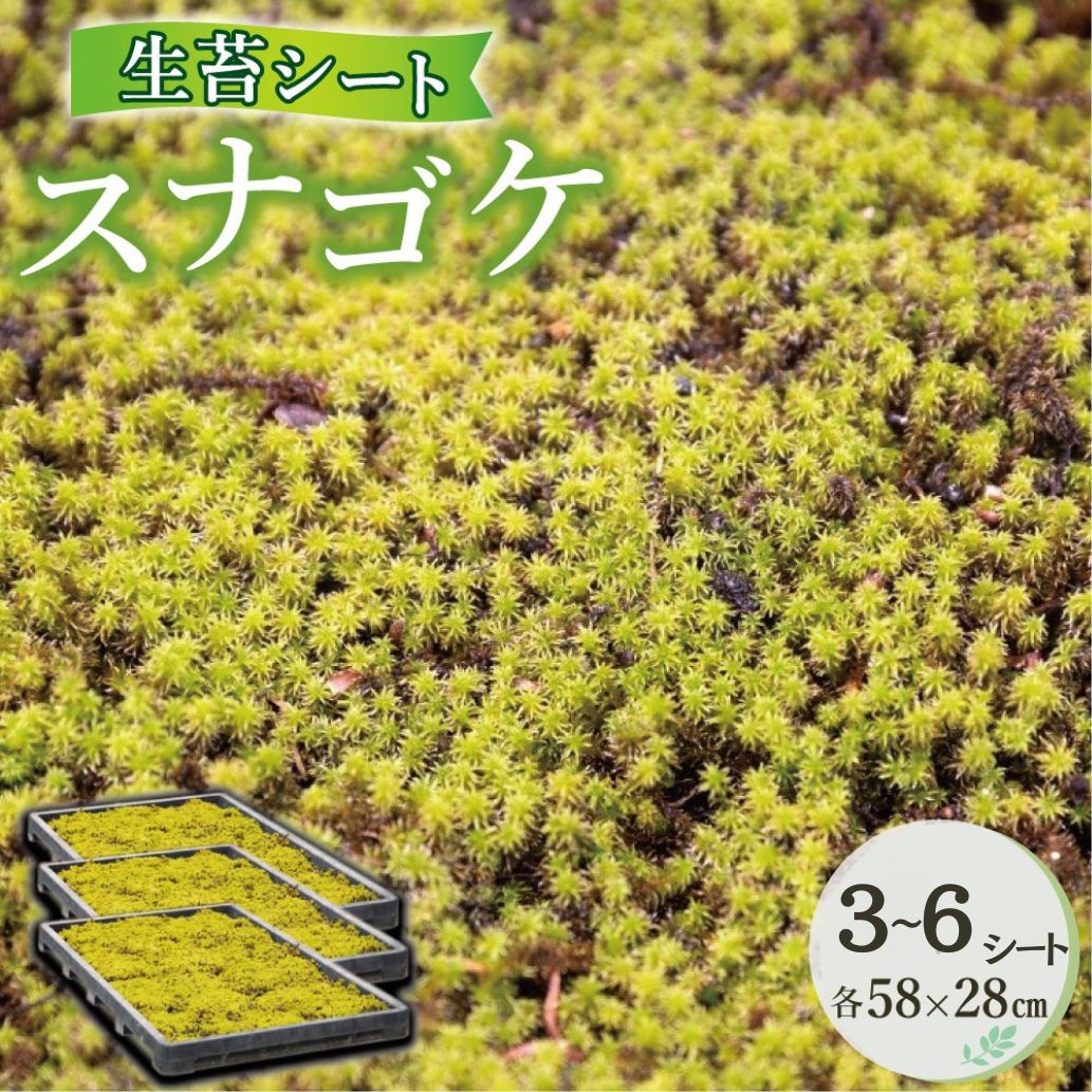 【ふるさと納税】スナゴケ生苔腰掛け書き割り【北海道・沖縄・離島 送りとどける不可】