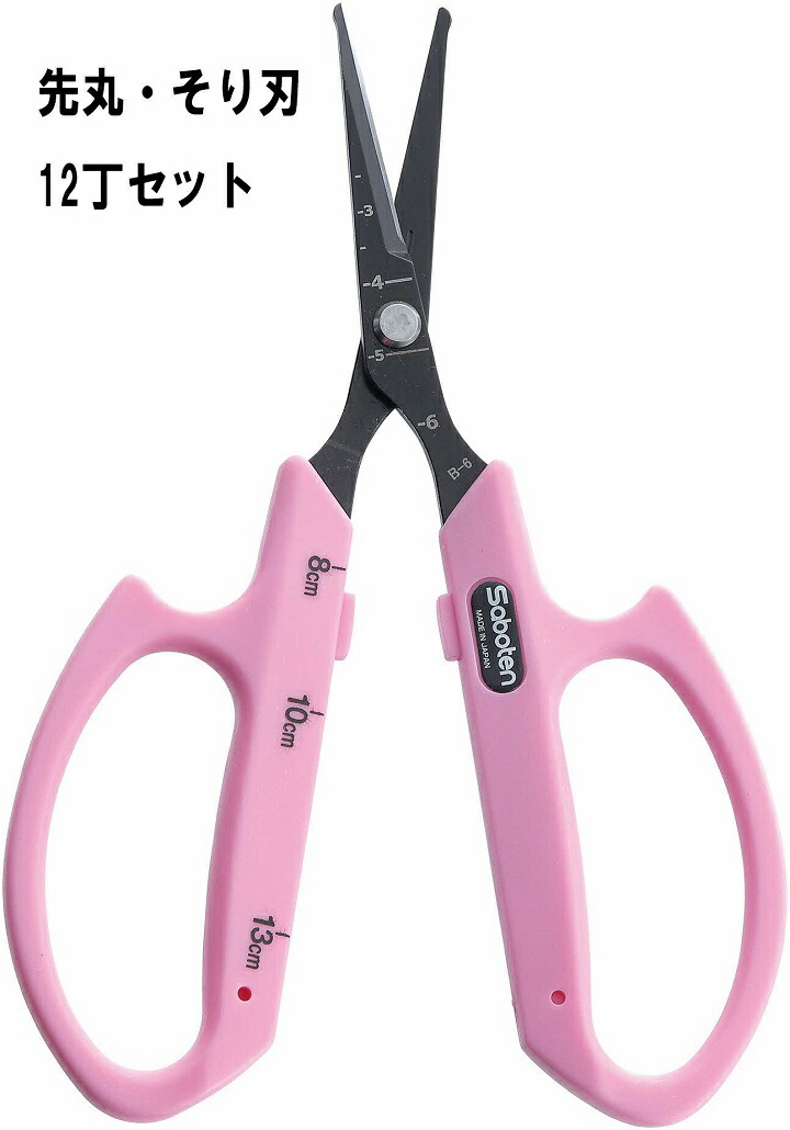 【ふるさと納税】ぶどうお取りつくろう鋏先丸そり刃12丁仕掛ける